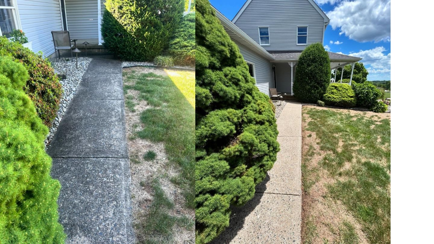 Concrete Walkway Restoration